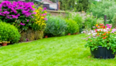 Pourquoi confier l'entretien de votre jardin &agrave; des experts &agrave; Sainte-Marie ?